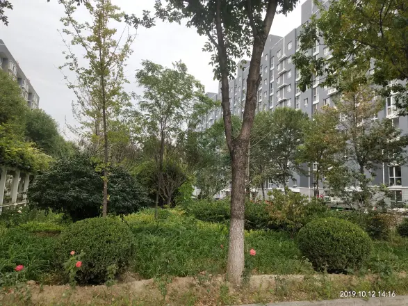 梅花庄小区实景图