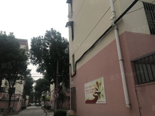 金塔二村实景图