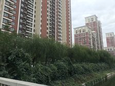 北花园小区3号院2室1厅南北