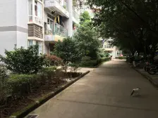 秀美丰文精装两房 中间楼层 户型宽敞