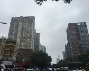 上城星座1室1厅南