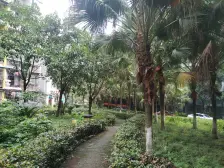 小区绿化环境好,生活物资购买方便 ,低总价