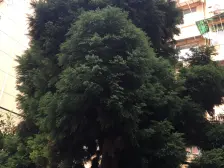 此房朝向格局好采光视野好业主诚售看房方便