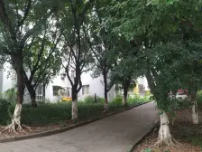 小区绿化环境好,生活物资购买方便