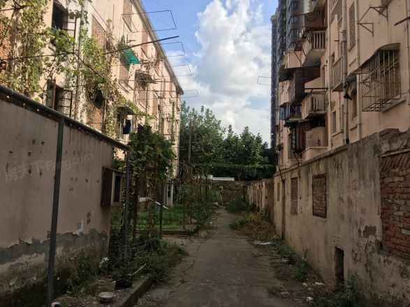 荣成路50弄小区实景图