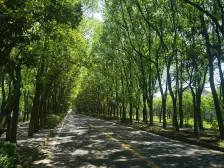 华府天地愉园 4室2厅 南