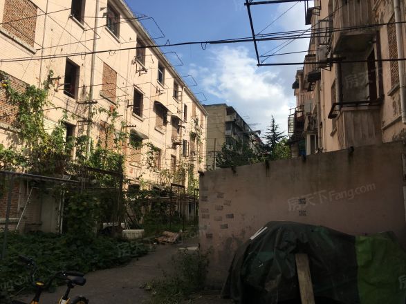 荣成路50弄小区实景图