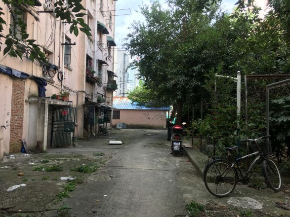 荣成路50弄小区实景图
