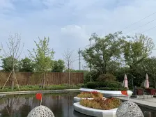 高铁新区!全新毛坯清水房!看房有钥匙!精品三房!