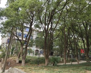 南莲路602号省农科院宿舍南北通透,采光好视野好,诚心出售