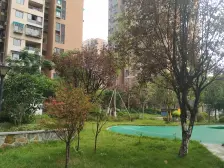 龙桥花苑五组团 1室1厅 东南