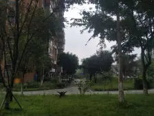 此房屋小区安静舒适,离轻轨二号线近交通方便