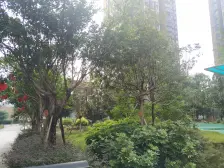 此房屋小区安静舒适,离轻轨十八号线近交通方便