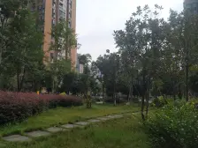 钓鱼嘴半岛 龙桥花苑五组团(二期)三房50万