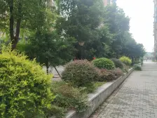 此房屋小区安静舒适,离轻轨18号线近交通方便