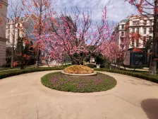 近华信品质小区户型方正 高楼层采光好