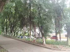 小区绿化环境好,生活物资购买方便