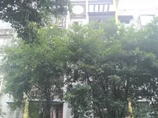 步行街 惠丰居一房15万