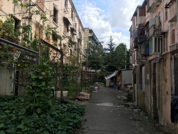 荣成路50弄小区实景图