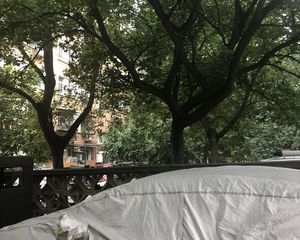 新安北里满五中间楼层采光好无遮挡东西通透