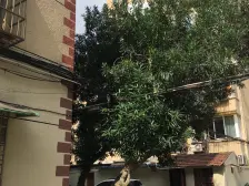 复旦附属九年制配套*电梯双南好房*万体馆徐汇体育公园配套