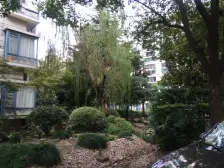 近地铁 产权清晰,电梯房 现场实勘 必看好房