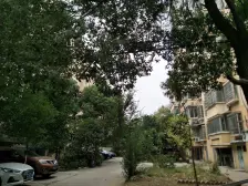 洪都大院七区 南北通透,采光好 视野好,诚心出售