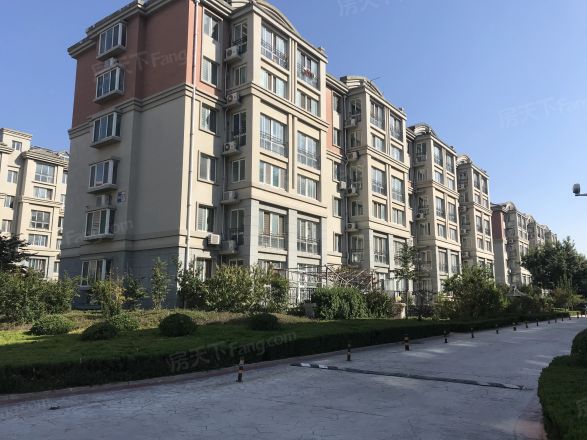 双羊新城实景图