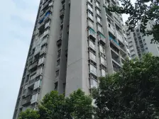 钓鱼嘴半岛 申佳子溪苑一房27.8万