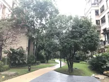 城南新区 龙湖紫云台二组团三房187万