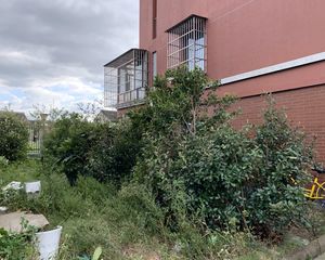 陈浪雅苑4室2厅东南