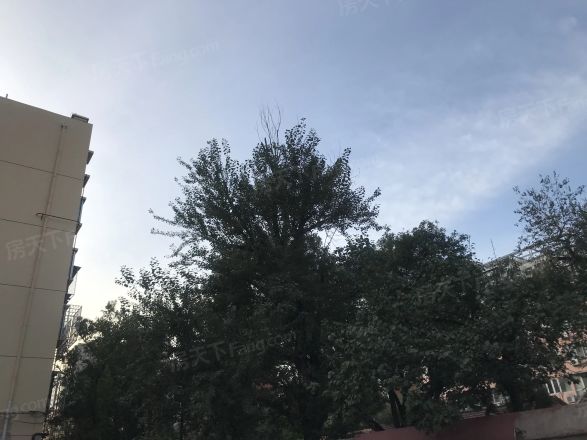 杨庄北街6号院实景图