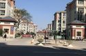 双羊新城实景图