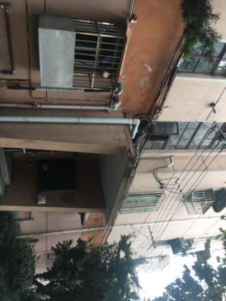 岚皋路300弄小区实景图