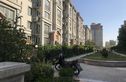 双羊新城实景图