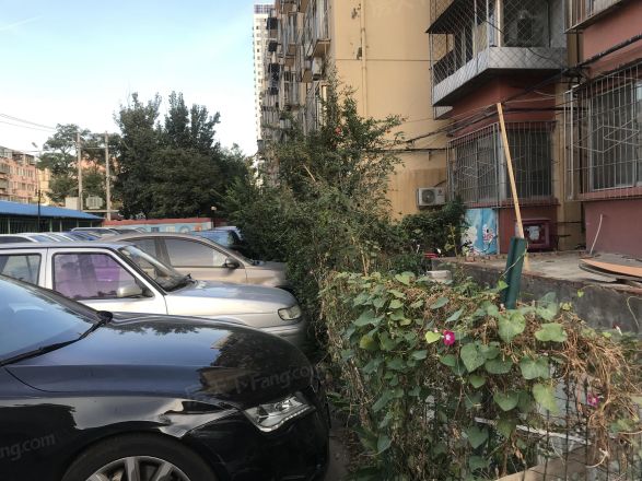 杨庄北街6号院实景图