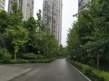 申佳子溪苑 1室1厅 东南