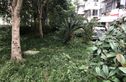 宁兴小区实景图