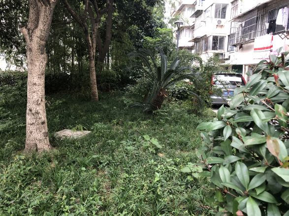 宁兴小区实景图
