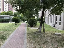 新婚两房首看 ,首付少 小夫妻压力不大