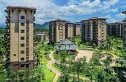 宝安兴隆椰林湾实景图