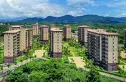 宝安兴隆椰林湾实景图