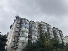 倍特金杏苑B区3室2厅西南南南东南