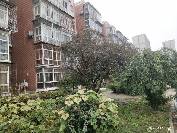 太平庄东里实景图