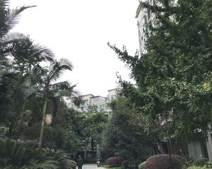 水木光华1室1厅东南