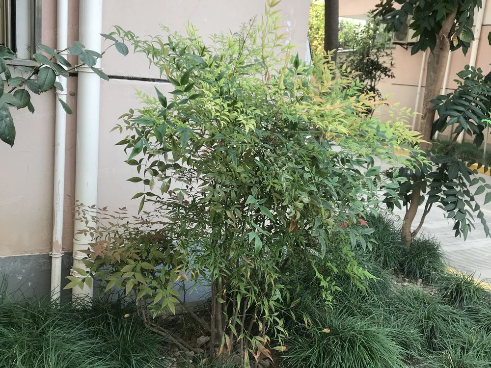 小区相关图
