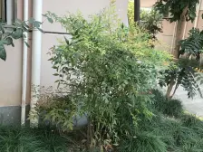 环球港,金沙江路站,中间楼层,采光好,诚意出售