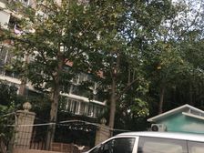 长风·北巷小区-上钞银杏苑·2室·1厅