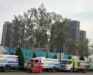 狮子城丁香园精装三居两卫全天采光视野好价格可谈