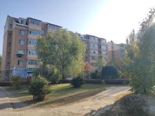 世纪花园独栋别墅 好位置 精装修 大院子诚意出售